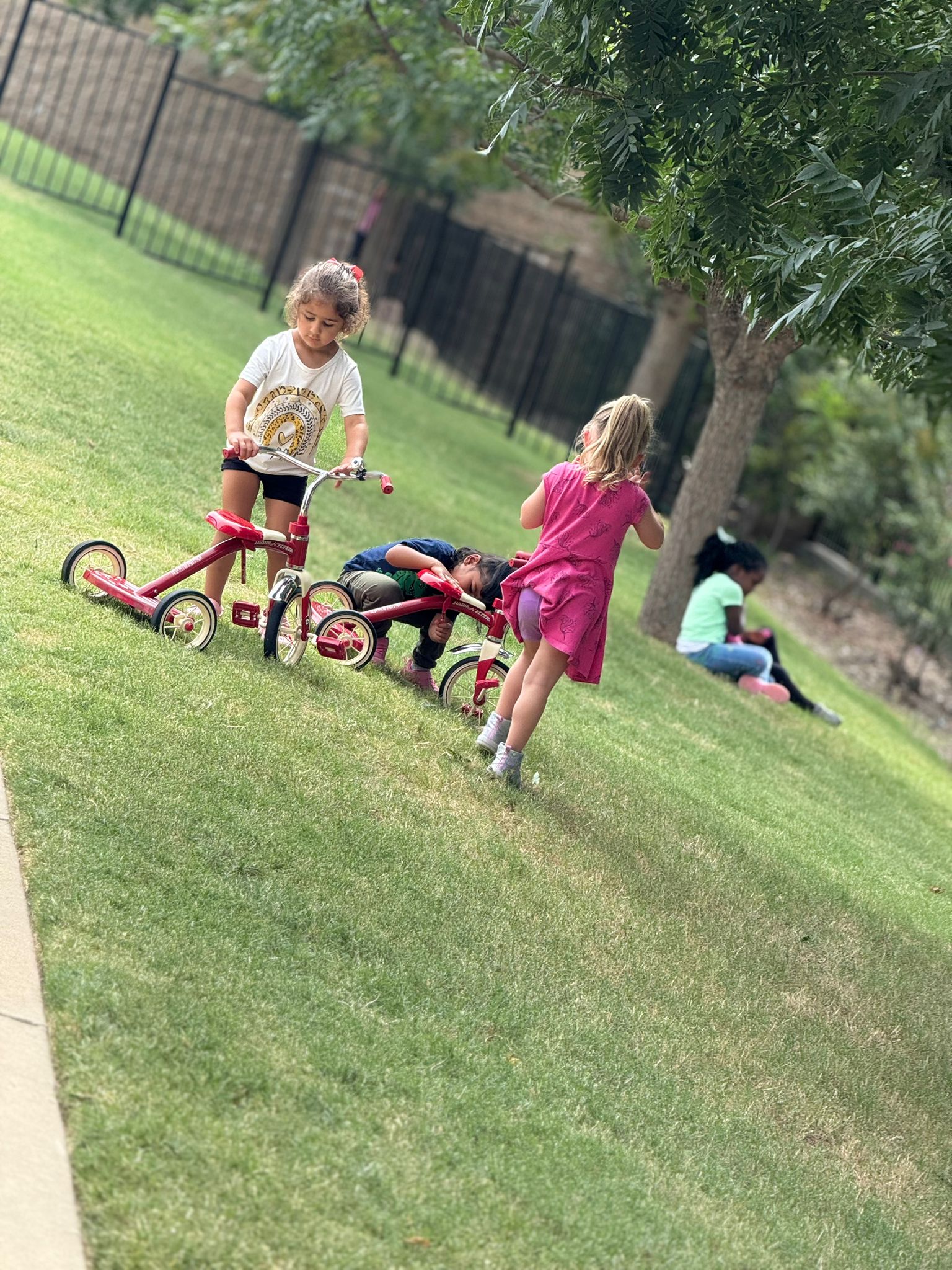 Trike riding on the lawn