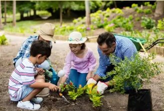 A family planting a garden bed together